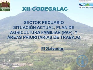XII CODEGALAC
SECTOR PECUARIO
SITUACIÓN ACTUAL, PLAN DE
AGRICULTURA FAMILIAR (PAF), Y
ÁREAS PRIORITARIAS DE TRABAJO
El Salvador

 