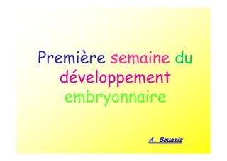 Première semaine du
développement
embryonnaire
A. Bouaziz
 