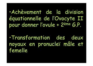 •Achèvement de la division
équationnelle de l’Ovocyte II
pour donner l’ovule + 2ème G.P.
•Transformation des deux
noyaux en pronucleï mâle et
femelle
 