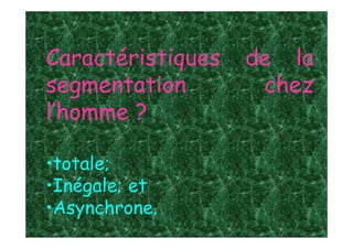 Caractéristiques de la
segmentation chez
l’homme ?
•totale;
•Inégale; et
•Asynchrone.
 
