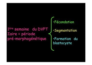 1ère semaine du DVPT
Σaire = période
pré-morphogénétique
•Fécondation
•Segmentation
•Formation du
blastocyste
 