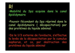 R!
•Mobilité du Spz acquise dans le canal
épididymaire
•Pouvoir fécondant du Spz réprimé dans le
canal épididymaire ( décapacitation) par
des protéines du liquide séminal.
•Ds le 1/3 externe de l’oviducte, s’effectue
la levée de la décapacitation par le cumulus
oophorus, et ce, par destruction des
protéines du liquide séminal
 