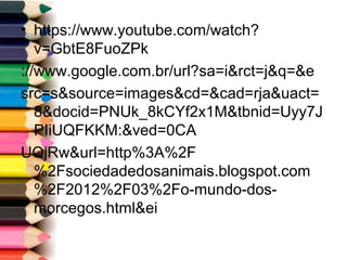 • https://www.youtube.com/watch?
v=GbtE8FuoZPk
://www.google.com.br/url?sa=i&rct=j&q=&e
src=s&source=images&cd=&cad=rja&uact=
8&docid=PNUk_8kCYf2x1M&tbnid=Uyy7J
PIiUQFKKM:&ved=0CA
UQjRw&url=http%3A%2F
%2Fsociedadedosanimais.blogspot.com
%2F2012%2F03%2Fo-mundo-dos-
morcegos.html&ei
 