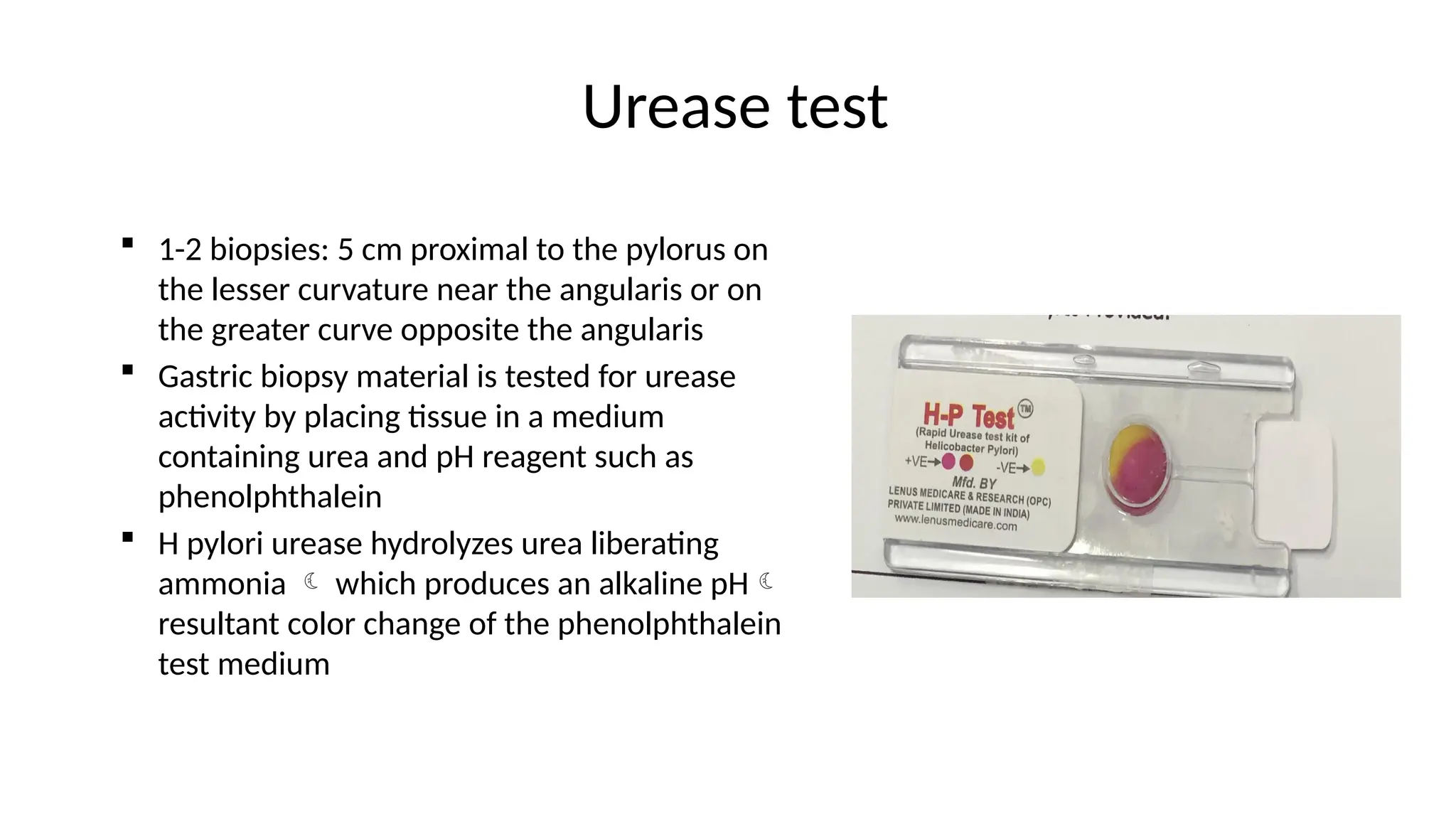 Urease test
 1-2 biopsies: 5 cm proximal to the pylorus on
the lesser curvature near the angularis or on
the greater curve opposite the angularis
 Gastric biopsy material is tested for urease
activity by placing tissue in a medium
containing urea and pH reagent such as
phenolphthalein
 H pylori urease hydrolyzes urea liberating
ammonia  which produces an alkaline pH
resultant color change of the phenolphthalein
test medium
 