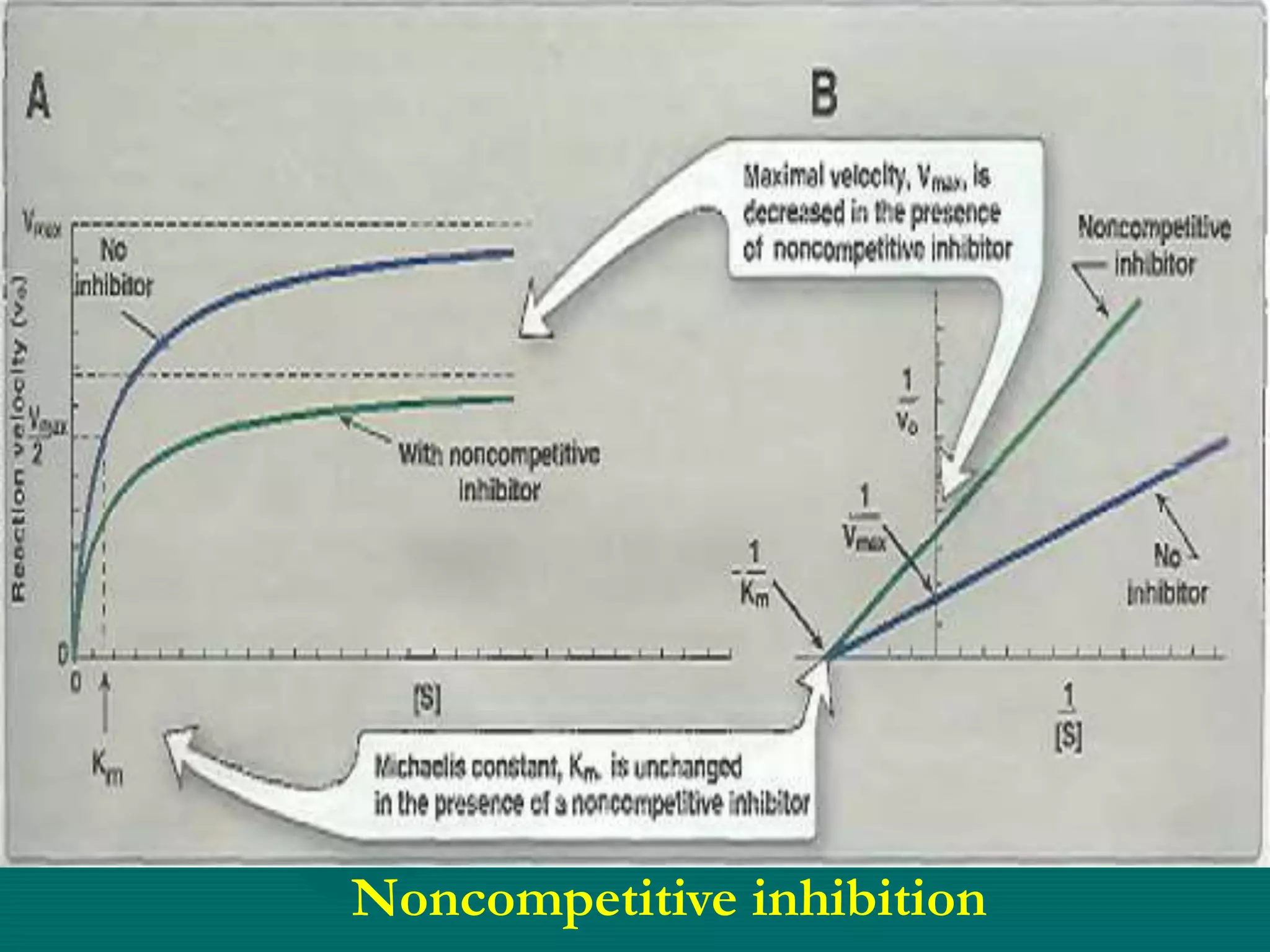 Noncompetitive inhibition
 