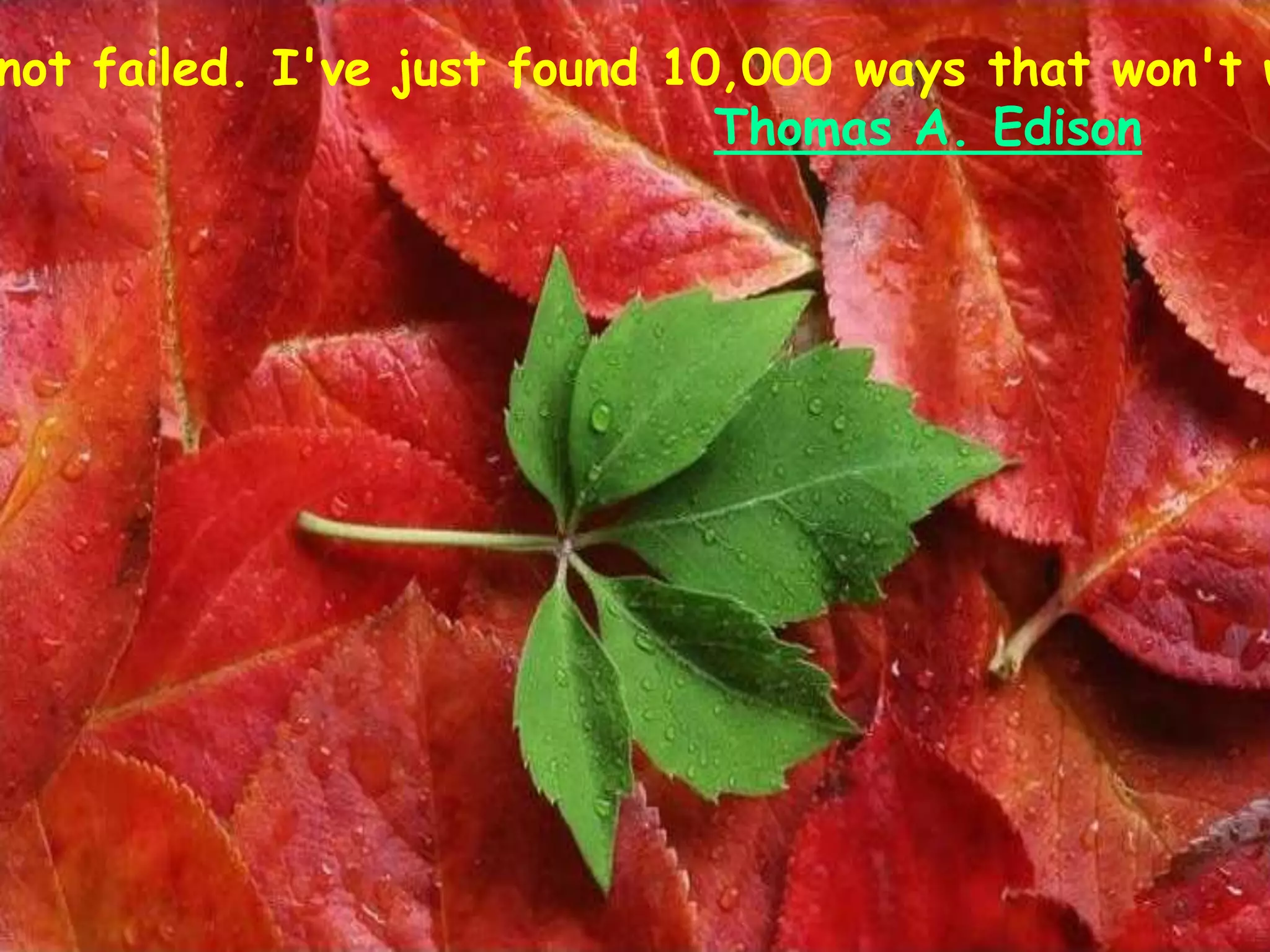 not failed. I've just found 10,000 ways that won't w
Thomas A. Edison
 