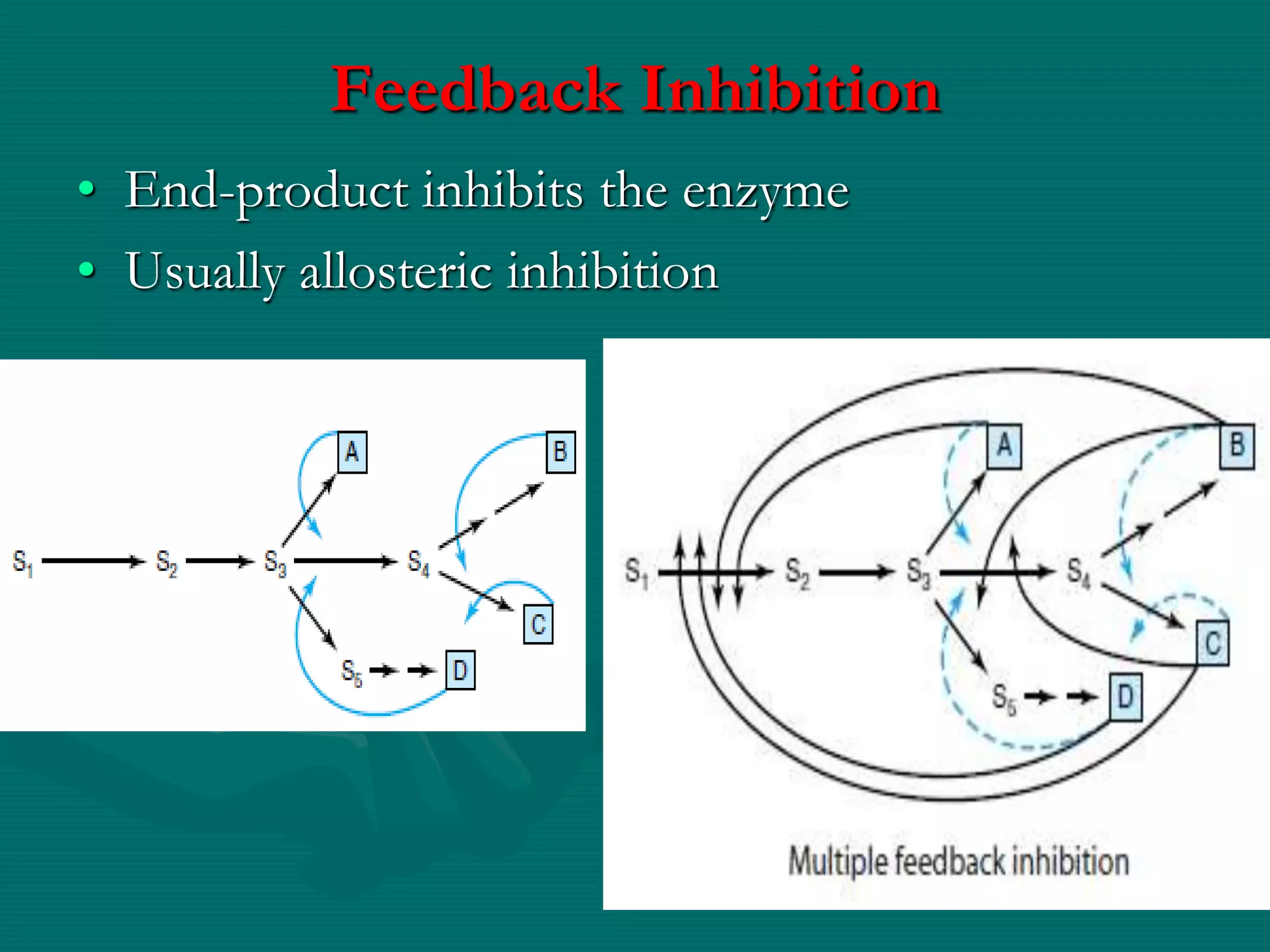 Feedback Inhibition
• End-product inhibits the enzyme
• Usually allosteric inhibition
 