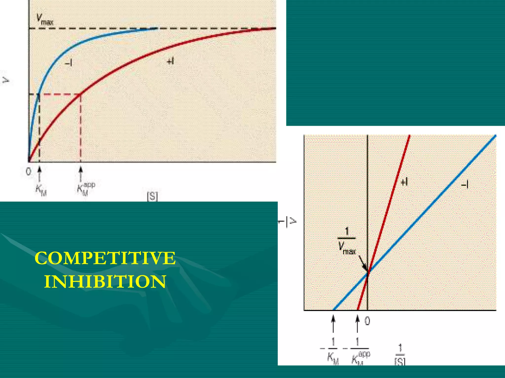 COMPETITIVE
INHIBITION
 