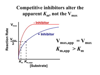 Competitive Inhibition Vmax 5 enzyme kinetics-inhibition.ppt