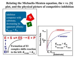 Its Apparent 5 enzyme kinetics-inhibition.ppt