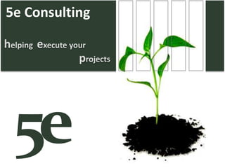 5e Consulting helping  execute your projects e 5 