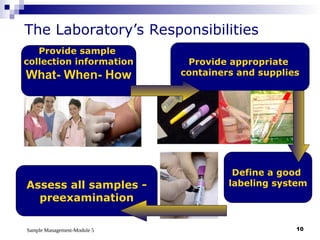 Sample Management-Module 5 10
Define a good
labeling system
Assess all samples -
preexamination
Provide sample
collection information
What- When- How
The Laboratory’s Responsibilities
Provide appropriate
containers and supplies
 