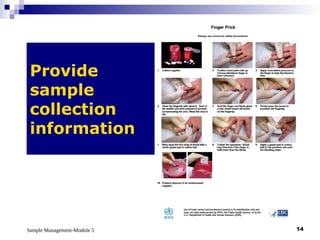 Sample Management-Module 5 14
Provide
sample
collection
information
 