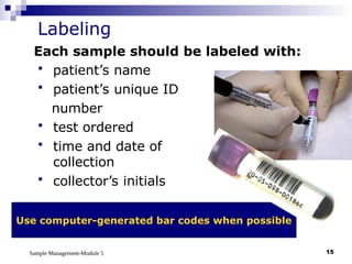 Sample Management-Module 5 15
Labeling
Each sample should be labeled with:
 patient’s name
 patient’s unique ID
number
 test ordered
 time and date of
collection
 collector’s initials
Use computer-generated bar codes when possible
 