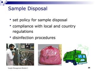 Sample Management-Module 5 28
Sample Disposal
 set policy for sample disposal
 compliance with local and country
regulations
 disinfection procedures
 