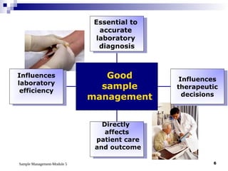 Sample Management-Module 5 6
Influences
laboratory
efficiency
Directly
affects
patient care
and outcome
Influences
therapeutic
decisions
Essential to
accurate
laboratory
diagnosis
Good
sample
management
Good
sample
management
 