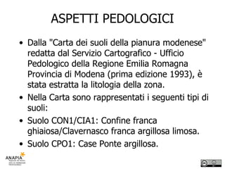 ASPETTI PEDOLOGICI Dalla "Carta dei suoli della pianura modenese" redatta dal Servizio Cartografico - Ufficio Pedologico della Regione Emilia Romagna Provincia di Modena (prima edizione 1993), è stata estratta la litologia della zona. Nella Carta sono rappresentati i seguenti tipi di suoli: Suolo CON1/CIA1: Confine franca ghiaiosa/Clavernasco franca argillosa limosa. Suolo CPO1: Case Ponte argillosa. 