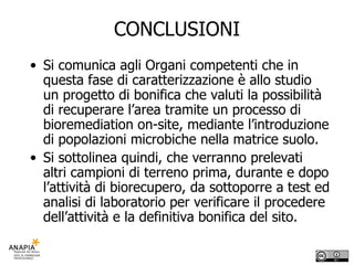 CONCLUSIONI Si comunica agli Organi competenti che in questa fase di caratterizzazione è allo studio un progetto di bonifica che valuti la possibilità di recuperare l’area tramite un processo di bioremediation on-site, mediante l’introduzione di popolazioni microbiche nella matrice suolo.  Si sottolinea quindi, che verranno prelevati altri campioni di terreno prima, durante e dopo l’attività di biorecupero, da sottoporre a test ed analisi di laboratorio per verificare il procedere dell’attività e la definitiva bonifica del sito. 