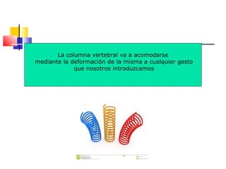 La columna vertebral va a acomodarse
mediante la deformación de la misma a cualquier gesto
que nosotros introduzcamos
 