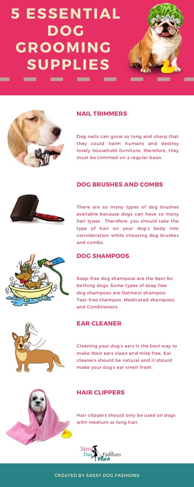 the best dog trimmers
