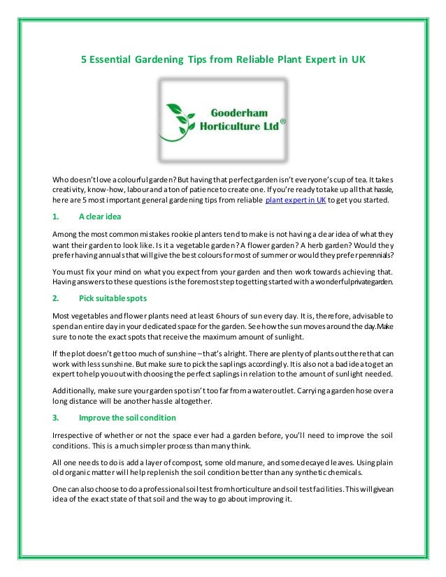 Gardening Tips For Beginners Uk
