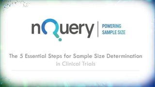The 5 Essential Steps for Sample Size
Determination
in Clinical Trials
 