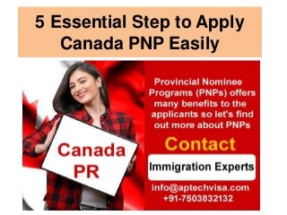 5 Essential Step to Apply
Canada PNP Easily
 