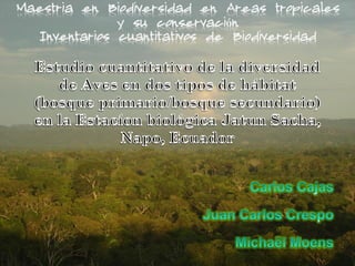 Maestria en Biodiversidad en Areas tropicales
y su conservación
Inventarios cuantitativos de Biodiversidad
 