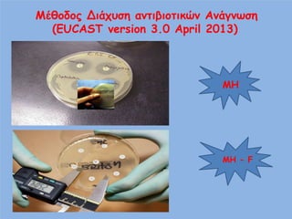 Β υ
α
(EUCAST version 3.0 April 2013)

MH

MH - F

 