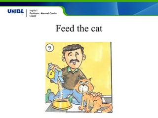 Feed the cat 