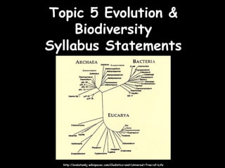 Topic 5 Evolution &Topic 5 Evolution &
BiodiversityBiodiversity
Syllabus StatementsSyllabus Statements
http://evolutionkj.wikispaces.com/Cladistics+and+Universal+Tree+of+Lifehttp://evolutionkj.wikispaces.com/Cladistics+and+Universal+Tree+of+Life
 