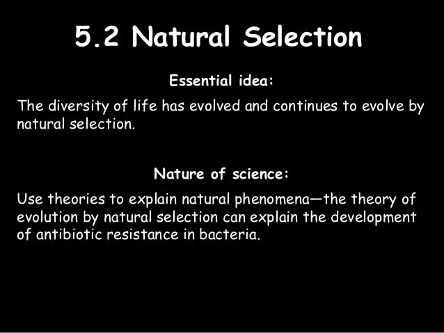 Explain Evolution By Natural Selection Cannot Occur If The Variation Explain Evolution By Natural Selection Cannot Occur If The Variation