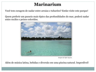 Marinarium
Você tem coragem de nadar entre arraias e tubarões? Então visite este parque!
Quem preferir um passeio mais típico das profundidades do mar, poderá nadar
entre recifes e peixes coloridos.
Além de música latina, bebidas e diversão em uma piscina natural. Imperdível!
Imagem de Tyler Ingram.
 