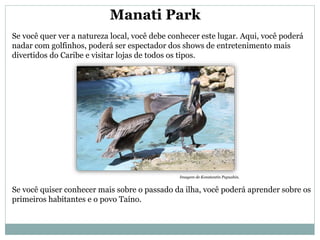 Manati Park
Se você quer ver a natureza local, você debe conhecer este lugar. Aqui, você poderá
nadar com golfinhos, poderá ser espectador dos shows de entretenimento mais
divertidos do Caribe e visitar lojas de todos os tipos.
Se você quiser conhecer mais sobre o passado da ilha, você poderá aprender sobre os
primeiros habitantes e o povo Taíno.
Imagem de Konstantin Papushin.
 