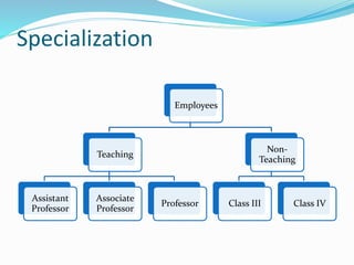Specialization
Employees
Teaching
Assistant
Professor
Associate
Professor
Professor
Non-
Teaching
Class III Class IV