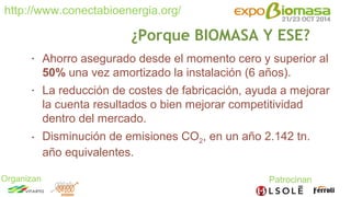 Generación de vapor con caldera de biomasa en planta de envasado de aceitunas de COMARO (Grupo IANSA)
