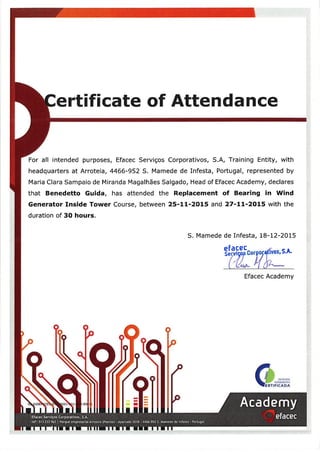 Certificate  EFACEC Benedetto Guida