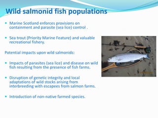 Wild salmonid fish populations
 Marine Scotland enforces provisions on
containment and parasite (sea lice) control .
 Se...