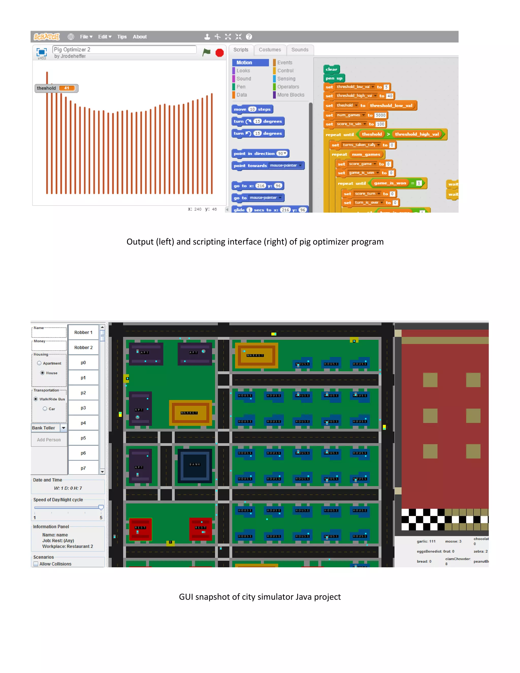 Output (left) and scripting interface (right) of pig optimizer program
GUI snapshot of city simulator Java project