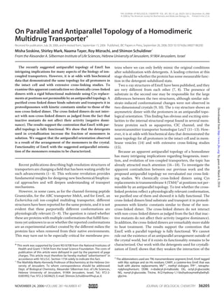 On Parallel and Antiparallel Topology of a Homodimeric
Multidrug Transporter*
Received for publication,July 28, 2006, and in revised form, September 15, 2006 Published, JBC Papers in Press,September 26, 2006, DOI 10.1074/jbc.M607186200
Misha Soskine, Shirley Mark, Naama Tayer, Roy Mizrachi, and Shimon Schuldiner1
From the Alexander A. Silberman Institute of Life Sciences, Hebrew University of Jerusalem, 91904 Jerusalem, Israel
The recently suggested antiparallel topology of EmrE has
intriguing implications for many aspects of the biology of ion-
coupled transporters. However, it is at odds with biochemical
data that demonstrated the same topology for all protomers in
the intact cell and with extensive cross-linking studies. To
examine this apparent contradiction we chemically cross-linked
dimers with a rigid bifunctional maleimide using Cys replace-
ments at positions not permissible by an antiparallel topology. A
purified cross-linked dimer binds substrate and transports it in
proteoliposomes with kinetic constants similar to those of the
non-cross-linked dimer. The cross-linked dimers do not inter-
act with non-cross-linked dimers as judged from the fact that
inactive mutants do not affect their activity (negative domi-
nance). The results support the contention that EmrE with par-
allel topology is fully functional. We show that the detergents
used in crystallization increase the fraction of monomers in
solution. We suggest that the antiparallel orientation observed
is a result of the arrangement of the monomers in the crystal.
Functionality of EmrE with the suggested antiparallel orienta-
tion of the monomers remains to be characterized.
Recent publications describing high resolution structures of
transporters are changing a field that has been waiting avidly for
such advancements (1–4). This welcome revolution provides
fundamental insights for designing new biochemical/biophysi-
cal approaches and will deepen understanding of transport
mechanisms.
However, in some cases, as for the channel-forming peptide
Gramicidin, for the ABC transporter MsbA, and for EmrE, an
Escherichia coli ion-coupled multidrug transporter, different
structures have been reported for the same protein, and it is not
evident that these purportedly different conformations are
physiologically relevant (5–8). The question is raised whether
these are proteins with multiple conformations that fulfill func-
tions yet unknown to us or whether the reported conformations
are an experimental artifact created by the different milieu the
proteins face when removed from their native environments.
This may turn out to be especially critical for membrane pro-
teins where we can only feebly mimic the original conditions
after solubilization with detergents. A leading criterion at this
stage should be whether the protein has some measurable func-
tion in the detergent-solubilized state.
Two x-ray structures of EmrE have been published, and they
are very different from each other (7, 8). The presence of
substrate in the second one may be responsible for the large
differences between the two structures, although similar sub-
strate-induced conformational changes were not observed in
two-dimensional crystals (9, 10). The x-ray structure shows an
asymmetric dimer with the protomers in an antiparallel topo-
logical orientation. This finding has obvious and exciting simi-
larities to the internal structural repeat found in several mem-
brane proteins such as aquaporins, ClC channel, and the
neurotransmitter transporter homologue LeuT (11–13). How-
ever, it is at odds with biochemical data that demonstrated the
same topology for all protomers in the intact cell and in mem-
brane vesicles (14) and with extensive cross-linking studies
(15).
Because an apparent antiparallel topology of a homodimer
has many intriguing implications regarding biogenesis, inser-
tion, and evolution of ion-coupled transporters, the topic has
already attracted much attention (16–18). To investigate the
apparent contradiction between our previous work and the
proposed antiparallel topology we reevaluated our cross-link-
ing studies. We chemically cross-linked dimers using Cys
replacements in transmembrane 4 (TM4)2
at positions not per-
missible by an antiparallel topology. To test whether the cross-
linked proteins reflect a physiologically relevant conformation,
we purified one of them and showed it is fully functional. The
cross-linked dimers bind substrate and transport it in proteoli-
posomes with kinetic constants similar to those of the non-
cross-linked dimer. The cross-linked dimers do not interact
with non-cross-linked dimers as judged from the fact that inac-
tive mutants do not affect their activity (negative dominance).
In addition, the cross-linked dimers are remarkably more stable
to heat treatment. The results support the contention that
EmrE with a parallel topology is fully functional. We cannot
rule out the existence of an antiparallel arrangement outside of
the crystal world, but if it exists its functionality remains to be
characterized. Our work with the detergents used for crystalli-
zation of EmrE shows that they weaken the interaction of the
* This work was supported by Grant NS16708 from the National Institutes of
Health and Grant 119/04 from the Israel Science Foundation. The costs of
publication of this article were defrayed in part by the payment of page
charges. This article must therefore be hereby marked “advertisement” in
accordance with 18 U.S.C. Section 1734 solely to indicate this fact.
1
The Mathilda Marks-Kennedy Professor of Biochemistry at the Hebrew Uni-
versity of Jerusalem. To whom correspondence should be addressed:
Dept. of Biological Chemistry, Alexander Silberman Inst. of Life Sciences,
Hebrew University of Jerusalem, 91904 Jerusalem, Israel. Tel.: 972-2-
6585992; Fax: 972-2-5634625; E-mail: Shimon.Schuldiner@huji.ac.il.
2
The abbreviations used are: TM, transmembrane segment; EmrE, EmrE tagged
with Myc epitope and six His residues; CAMY, a cysteine-less EmrE that was
built with alanine replacements; MV2ϩ
, methyl viologen; TPPϩ
, tetraphe-
nylphosphonium; DDM, n-dodecyl-␤-maltoside; OG, octyl-␤-glucoside;
NG, nonyl-␤-glucoside; Tricine, N-[2-hydroxy-1,1-bis(hydroxymethyl)ethyl]-
glycine.
THE JOURNAL OF BIOLOGICAL CHEMISTRY VOL. 281, NO. 47, pp. 36205–36212, November 24, 2006
© 2006 by The American Society for Biochemistry and Molecular Biology, Inc. Printed in the U.S.A.
NOVEMBER 24, 2006•VOLUME 281•NUMBER 47 JOURNAL OF BIOLOGICAL CHEMISTRY 36205
byguestonMarch4,2016http://www.jbc.org/Downloadedfrom
 