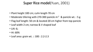 Super Rice model(Yuan, 2001)
• Plant height 100 cm; culm length 70 cm
• Moderate tillering with 270-300 panicle m-2 & panicle wt. : 5 g
• Flag leaf length: 50 cm & located 20 cm higher from top panicle
• Leaf width 2 cm; narrow & V shaped leaf
• LAI: 6;
• HI: 60%
• Leaf area: grain wt. :: 100 : 2.2-2.3
 