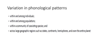 Variation in phonological patterns
 