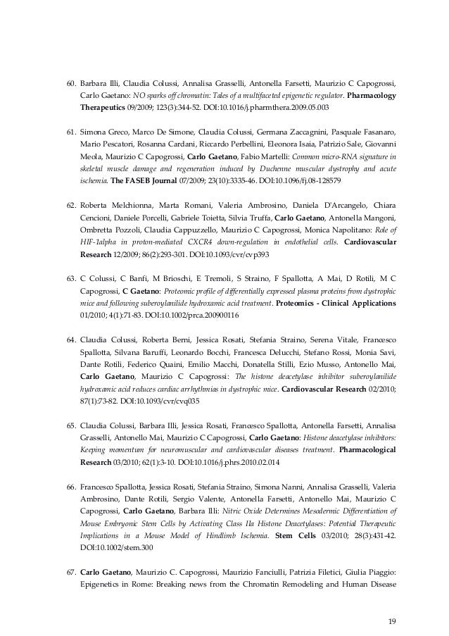 Curriculum Vitae Carlo Gaetano November 18th 2015 New