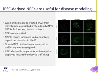 iPSC-derived NPCs are useful for disease modeling
 Wren and colleagues created iPSCs from
microtubule-associated protein tau (MAPT)
N279K Parkinson’s disease patients
 NPCs were created
 N279K causes increases in 4 repeat to 3
repeat tau domains in MAPT
 Since MAPT binds microtubules vesicle
trafficking was investigated
 NPCs derived from patients with mutation
displayed impaired endocytic trafficking
10
Wren MC, et al. Mol Neurodeg 10:46, 2015.
 