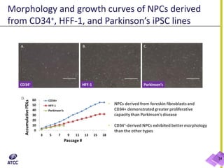 Morphology and growth curves of NPCs derived
from CD34+, HFF-1, and Parkinson’s iPSC lines
14
400 μm 400 μm 400 μm
 