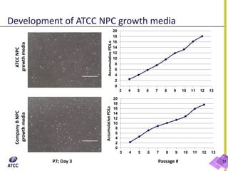 23
0
2
4
6
8
10
12
14
16
18
20
3 4 5 6 7 8 9 10 11 12 13
AccumulativePDLs
0
2
4
6
8
10
12
14
16
18
20
3 4 5 6 7 8 9 10 11 12 13
AccumulativePDLs
ATCCNPC
growthmedia
CompanyBNPC
growthmedia
P7; Day 3 Passage #
Development of ATCC NPC growth media
 