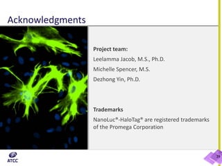 Acknowledgments
29
Project team:
Leelamma Jacob, M.S., Ph.D.
Michelle Spencer, M.S.
Dezhong Yin, Ph.D.
Trademarks
NanoLuc®-HaloTag® are registered trademarks
of the Promega Corporation
 