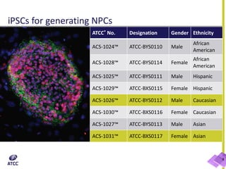 8
iPSCs for generating NPCs
ATCC® No. Designation Gender Ethnicity
ACS-1024™ ATCC-BYS0110 Male
African
American
ACS-1028™ ATCC-BYS0114 Female
African
American
ACS-1025™ ATCC-BYS0111 Male Hispanic
ACS-1029™ ATCC-BXS0115 Female Hispanic
ACS-1026™ ATCC-BYS0112 Male Caucasian
ACS-1030™ ATCC-BXS0116 Female Caucasian
ACS-1027™ ATCC-BYS0113 Male Asian
ACS-1031™ ATCC-BXS0117 Female Asian
 