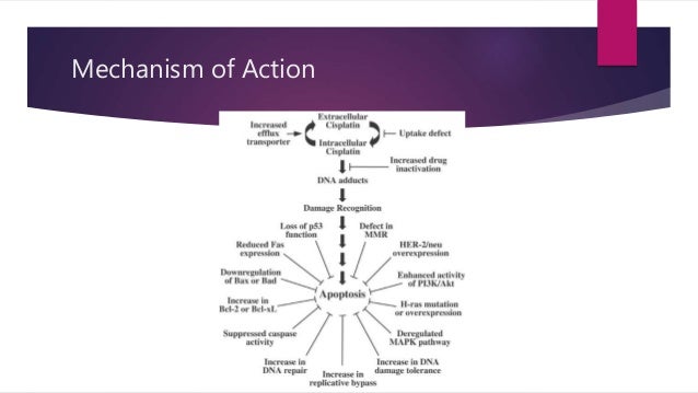 Cytoxan mechanism of action