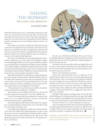8 edible Idaho Summer 2015
Fishing
the Redband
How to hook a native redband trout
By Randy King
Water flowed freely between two car-sized boulders, delivering a steady
stream into a deep pool carved into the rocks below. The pool wasn’t
quite eight feet across, but it was nearly 10 feet deep. Large sheets of
granite lay across much of the stream and sheltered it from the blazing
sun above, keeping the water cool and hiding unknown treasures in its
dark waters.
On a boulder near the pool, my buddy Ryan McDaniel was lying
on his side and casting his fly rod. A short burst of line shot from his
Depression-era bamboo rod, which he whipped back and forth until
the correct amount of line had been expended and the correct distance
had been reached. It was a Norman Maclean-esque trout chasing mo-
ment, but in the Southern Idaho high desert.
The trout we were fishing have an interesting background: Colum-
bia River redband trout are a close relative of the ubiquitous rainbow
trout found throughout Idaho streams, but the Columbia River redband
trout are wild and native. According to Chris Walser, professor of biology
at The College of Idaho, Columbia River redband trout have been in the
Great Basin area (the big bowl that contains most of Southwest Idaho
and Northern Utah) for the past 50,000 years, which has allowed them
plenty of time to evolve and adapt to the region’s climate.
Historically, Columbia River redband trout occupied inland waters
east of the Cascades and below Barrier Falls (like Shoshone Falls). In
the 1880s, fish management practices led to the introduction of the
coastal rainbow trout. Some of the earliest fish hatcheries in the west
began operation in California and figured out how to grow and dis-
perse coastal rainbow trout throughout the United States.
“The introduction of coastal rainbow trout in Idaho is basically an
artifact of historical fish management,” said Walser.
These hatchery trout were allowed to breed and, over the past 100
years, have passed their hatchery genes to the native redband trout.
“You don’t find genetically pure populations [of redband trout]
unless you are in an isolated location—a location not historically
stocked with hatchery fish,” explained Walser.
The heavily regulated South Fork of the Boise River, for example,
has a sustainable population of large rainbow trout. These fish are wild,
but carry the genes of hatchery trout.
I was seeking native redband trout, which is how I found myself on
a tiny creek in the middle of the Owyhee Mountains. In order to avoid
detection by the trout that lurked below, McDaniel wouldn’t stand on
the boulder. Instead, he belly-crawled up to the edge to cast. A big
shadow looming across the surface of the water is a sure sign that trou-
ble is on the horizon.
Every few casts, McDaniel would drop his line onto the base of
the waterfall, right where the falling water hit the pool. He then would
quickly shorten his line and let his artificial fly, a small grasshopper im-
itation, float atop the water.
From below, a fish not quite eight inches long lunged itself out of
the water to eat the hopper with ferocity. No novice, McDaniel waited
for a few inches of line to disappear below the surface before he set his
hook with a quick pop of the wrist.
“Fish on,” he uttered, but not too loud.
On the other end of McDaniel’s line was a wild trout, not the
hand-fed version stocked in many waterways by the Idaho Department
of Fish and Game. Since it was young, this native fish had to fight for
every inch in length and every scrap of its food. This fish was a survivor.
And that is why the trout, small as it was, put up such a fight. The lit-
tle pugilist showcased a wide variety of acrobatics—it skipped across
the top of the water like a dolphin, dove like a steelhead and rolled like
a sturgeon. Life for this fish had been a struggle and it knew how to
fight. It was a wild fish.
Eventually simple machinery and larger brains won the day. After
the fish finally gave in, McDaniel reeled him to the edge of the boulder
he was crouched on. He grabbed his line and hoisted the little pan-fry
onto the rock. A quick slice from a pocket knife and the fish was no more.
“One more and we’re set,” I said, watching the scene play out.
Soon I was hooked onto a fish as well—my much less graceful earth-
worm had worked. After both fish were eviscerated, we cooked them over
a campfire. Wild onions and a little mustard gave these delicate-tasting,
native fish a strong bite to complement their wild nature.
Randy King is a dedicated father of three boys and a husband who gets in
trouble for having “dead things” on the countertop. For more recipes and
writing, visit ChefRandyKing.com.
IllustrationbyMikeLanda
 